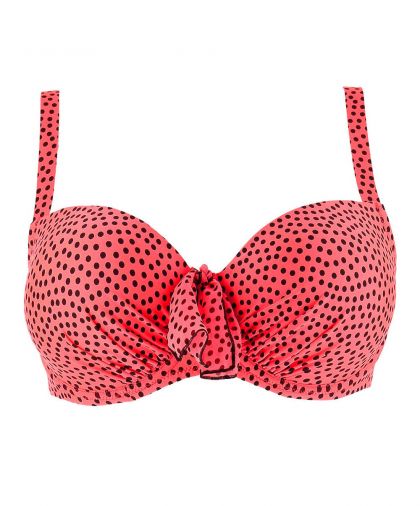 Antigel Coque E koraal 40 E