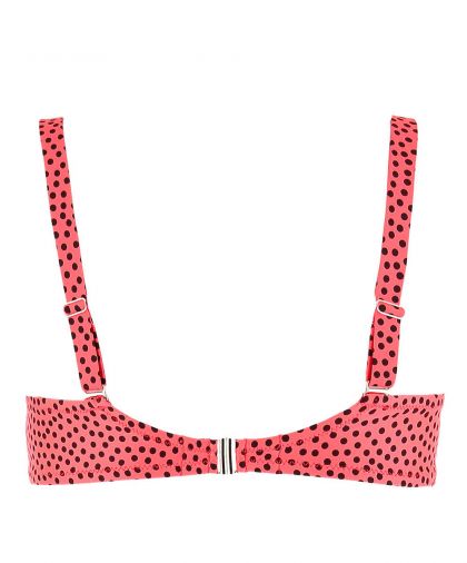 Antigel Coque E koraal 40 E