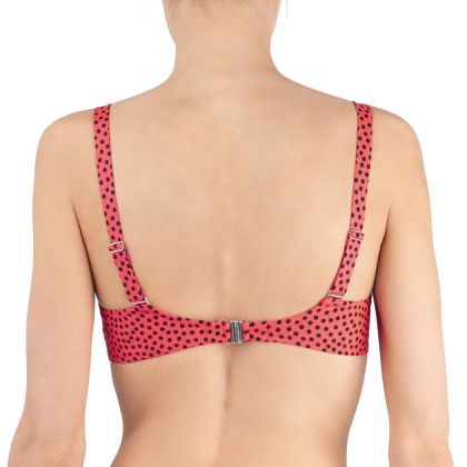 Antigel Coque E koraal 40 E