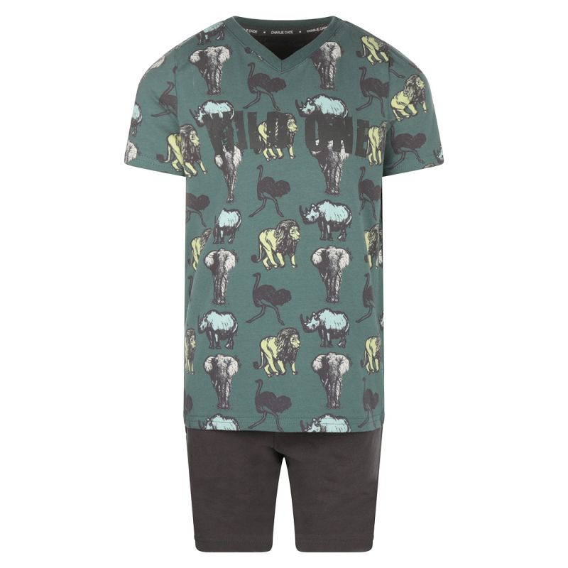 Charliechoe Boys set shorts groen 110/116 -