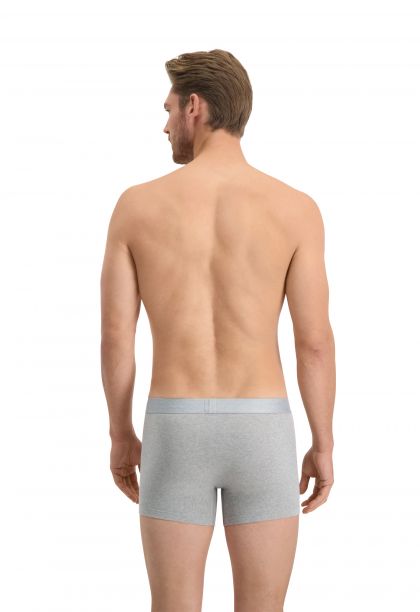 Levis HEREN BOXERSHORT ORGANIC 2pack grijs L -