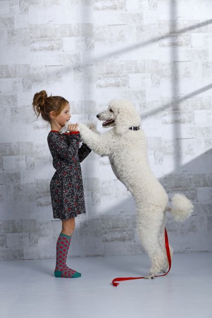 Rebelle Nachtkleed grijs 116 -