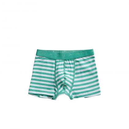 Ten Cate Basic Kids Boys Shorts 2 Pack groen 98/104 -