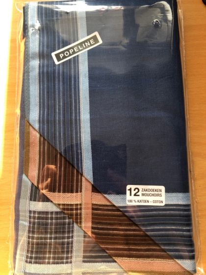 Tiseco Emilio Herenzakdoek 40x40 cm 12 stuks blauw Onesize -